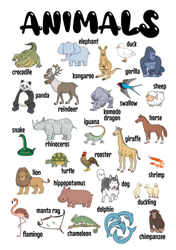 Free printable animal poster for early learning